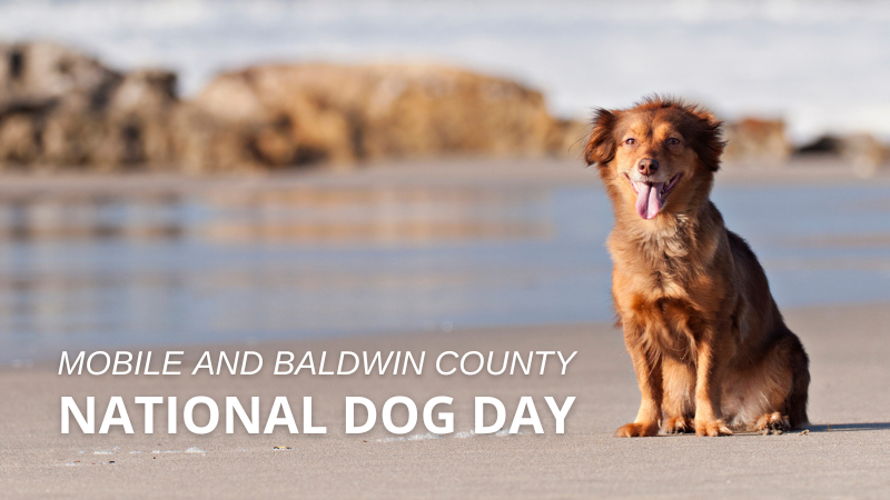 Celebrate Dog Day in Mobile and Baldwin Counties | Bellator Real Estate & Development